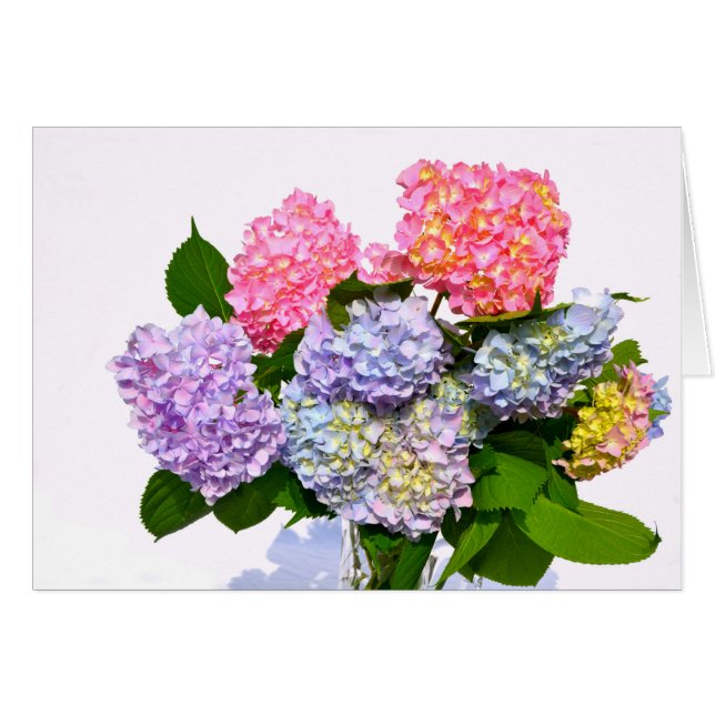 Hydrangea Bouquet (Vorderseite (Horizontal))