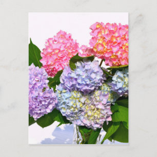 Hydrangea Bouquet Postkarte