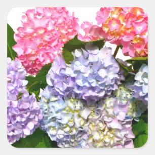 Hydrangea Bouquet Quadratischer Aufkleber