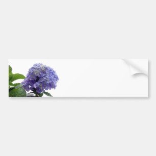 Hydrangea-Bush-Autoaufkleber Autoaufkleber