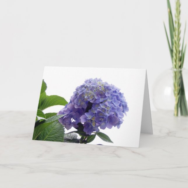 Hydrangea Bush Grußkarte Karte (Vorderseite)