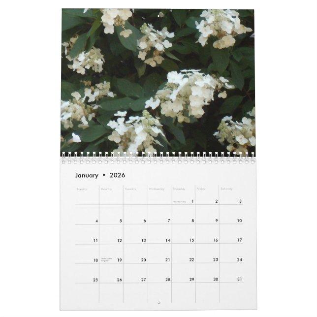 Hydrangea-Farben 2013 Kalender (Jan 2026)