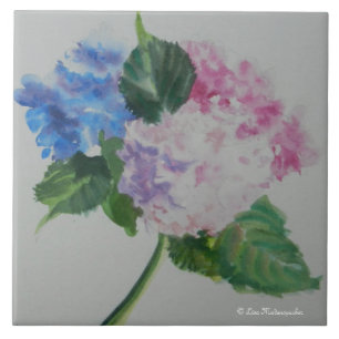 Hydrangea-Fliese Fliese