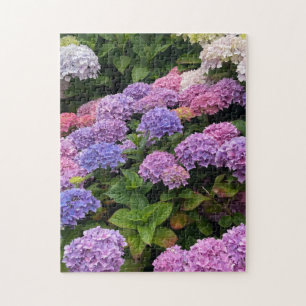 Hydrangea-Foto Puzzle