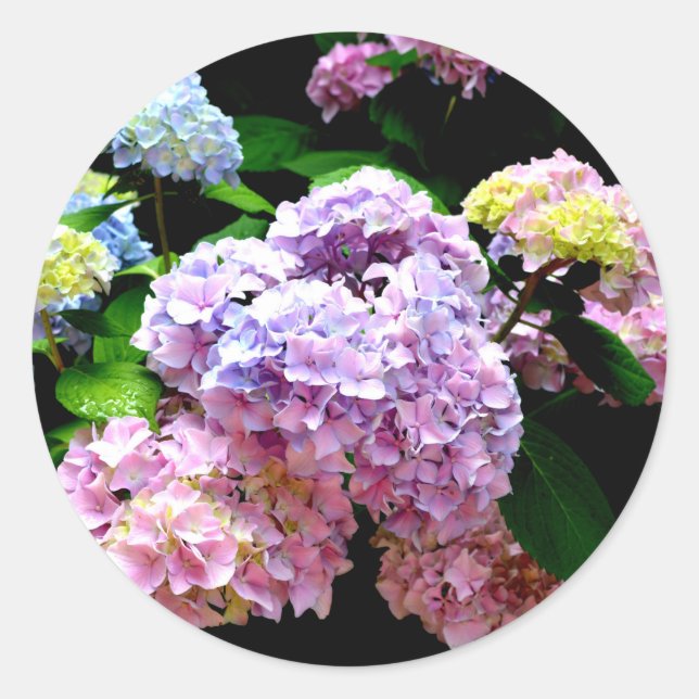 Hydrangea Garden Runder Aufkleber (Vorderseite)