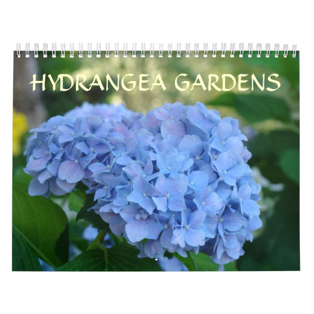 HYDRANGEA GARDENS Calendar Blue Hydrangeas Kalender (Titelbild)