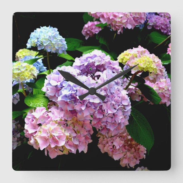Hydrangea-Garten Quadratische Wanduhr (Vorderseite)