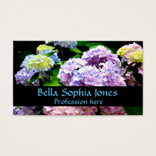 Hydrangea-Garten, rosa, blau, lila Blumen