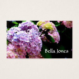 Hydrangea-Garten, rosa, blau, lila Blumen