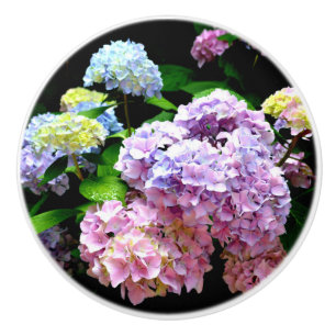 Hydrangea-Garten, rosa, blau, lila Blumen Keramikknauf