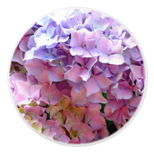 Hydrangea-Garten, rosa, blau, lila Blumen Keramikknauf