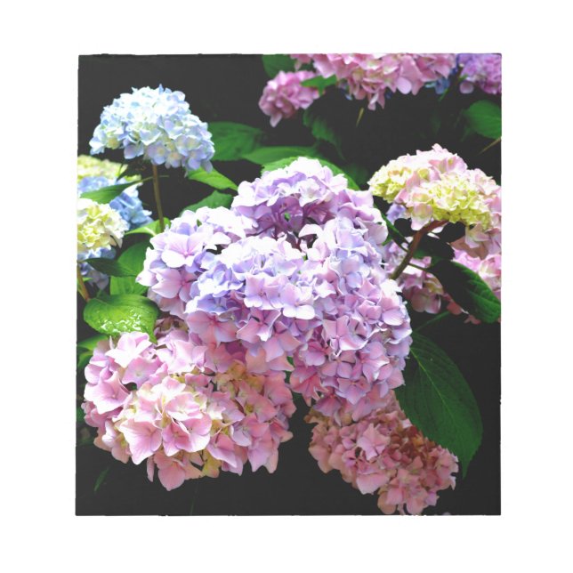 Hydrangea-Garten, rosa, blau, lila Blumen Notizblock (Vorderseite)