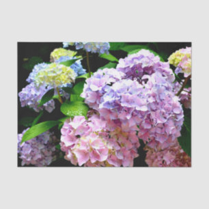 Hydrangea-Garten, rosa, blau, lila Blumen Seidenpapier