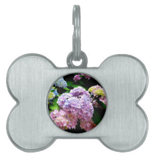 Hydrangea-Garten, rosa, blau, lila Blumen Tiermarke