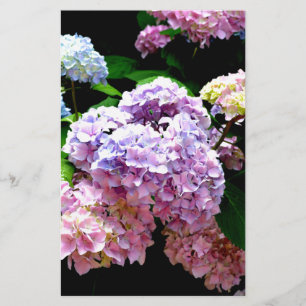 Hydrangea Garten rosa blütenblaue lila Blüte Briefpapier