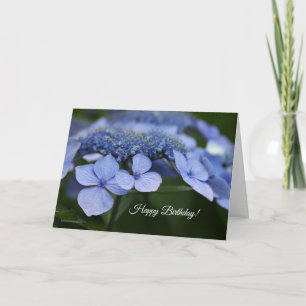 Hydrangea-Geburtstagskarte Karte