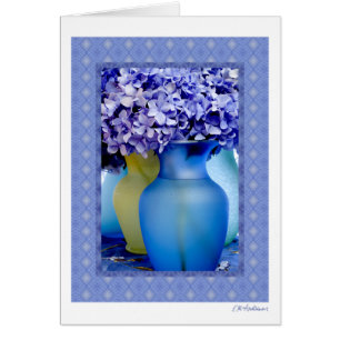 Hydrangea-Gemisch VI