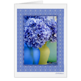 Hydrangea-Gemisch VII