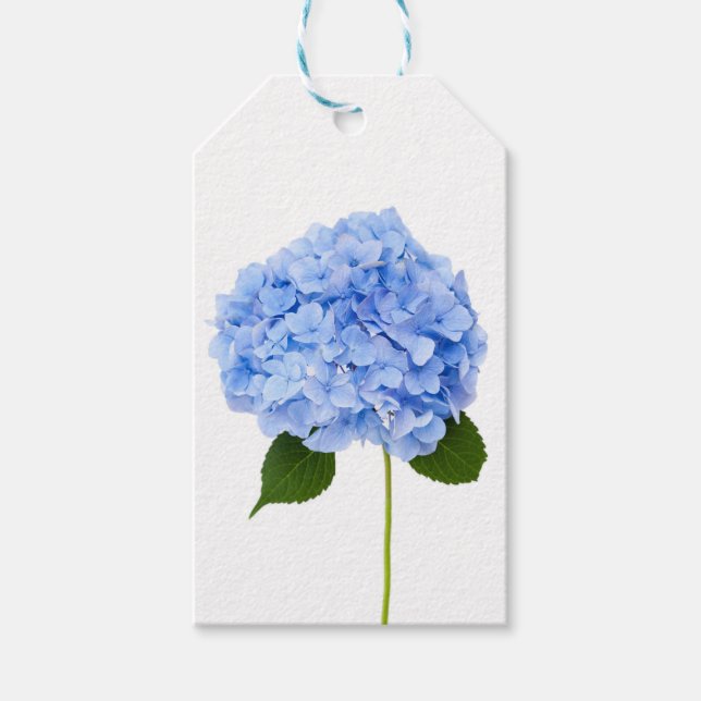Hydrangea Geschenkanhänger (Vorderseite)