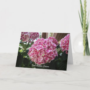Hydrangea Get Well Card Karte