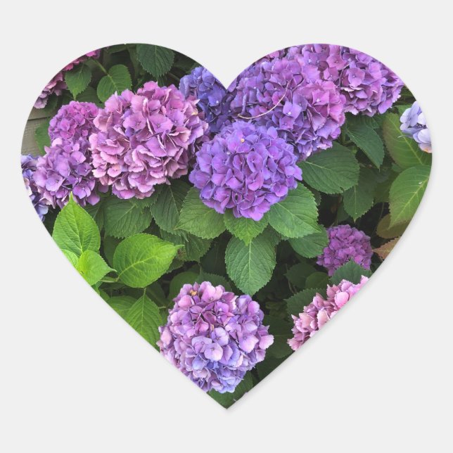 Hydrangea Heart Stickers (Vorderseite)