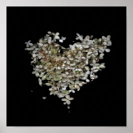 Hydrangea Herz Botanisches Poster