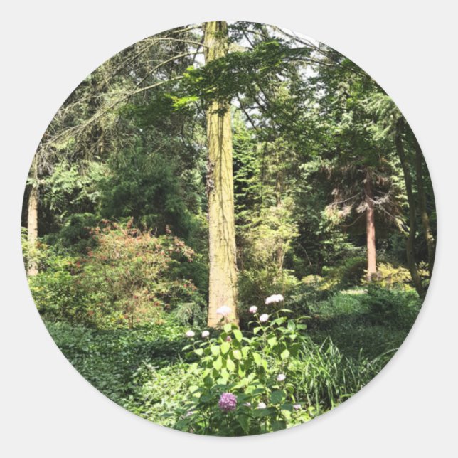 Hydrangea Holzbaume Naturfotografie Runder Aufkleber (Vorderseite)