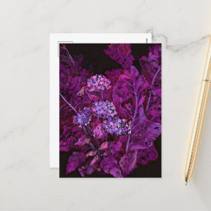 Hydrangea & Horseradish Floral Art Black Lila Feiertagspostkarte
