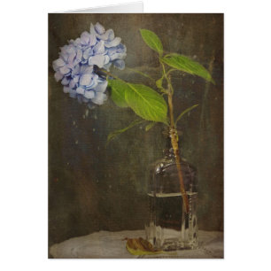 Hydrangea in Flaschen