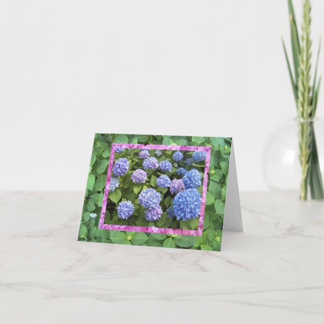 Hydrangea! Karte (Vorderseite)