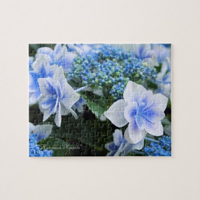Hydrangea "Konpeito" [Jigsaw puzzle: 110P] Puzzle (Horizontal)