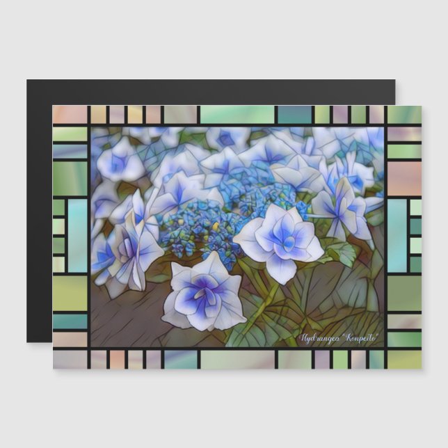 Hydrangea "Konpeito" [Magnet-Karte] Magnetkarte (Vorne/Hinten)