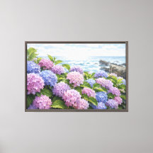 Hydrangea-Küste