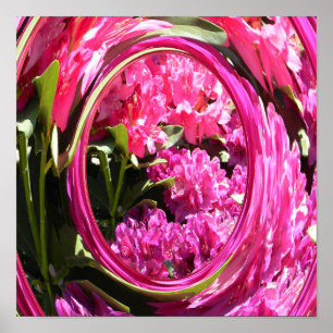 Hydrangea-Liebe... Poster