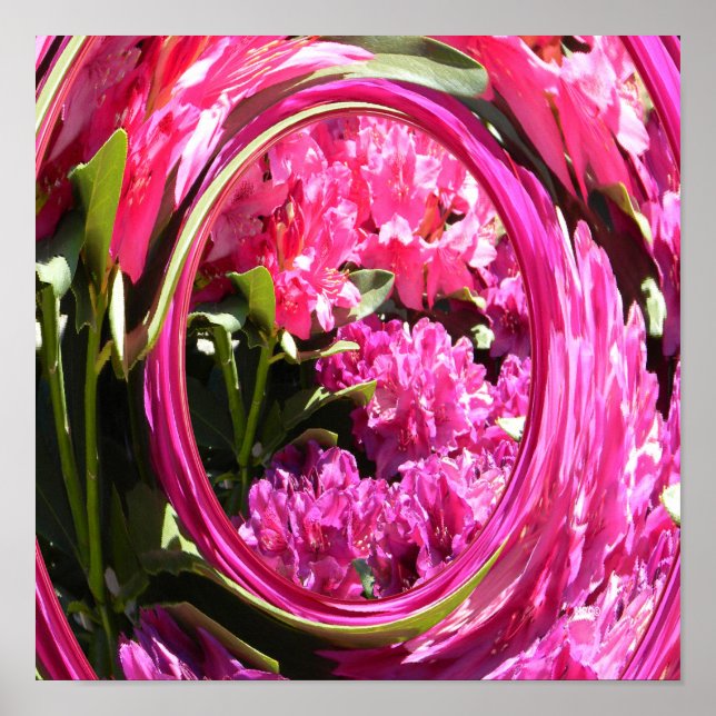 Hydrangea-Liebe... Poster (Vorne)