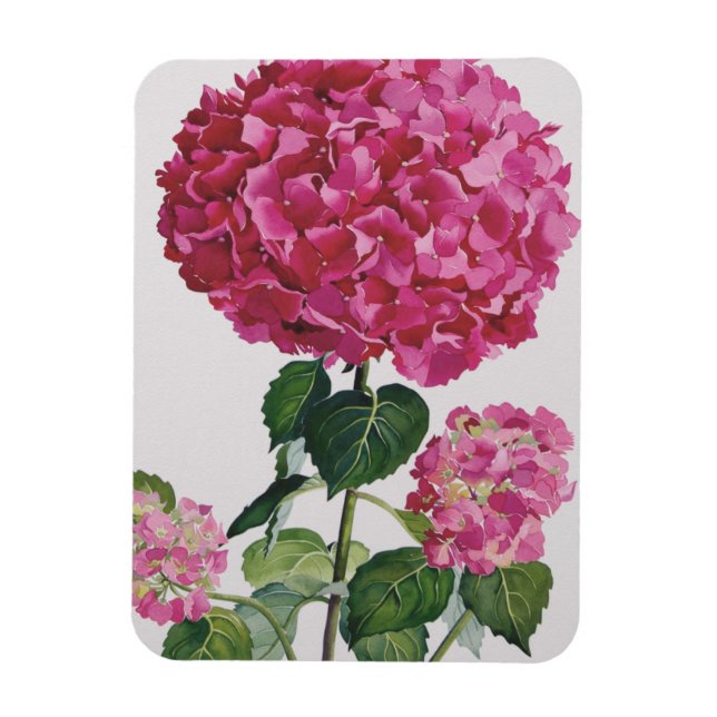 Hydrangea Magnet (Vertikal)