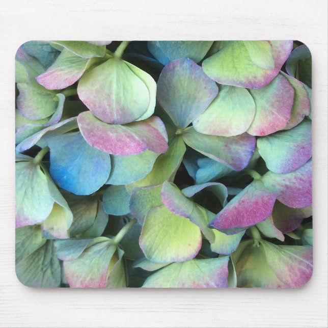 HYDRANGEA mehrfarbige Blätter — Mousepad (Vorne)