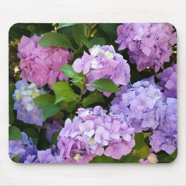Hydrangea Mousepad (Vorne)