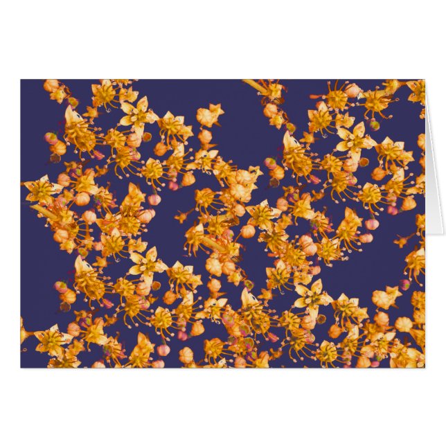 Hydrangea-Orange und Marine (Vorderseite (Horizontal))