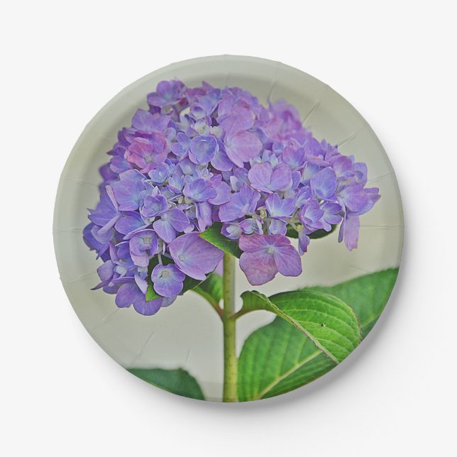 Hydrangea-Papierplatte Pappteller (Vorderseite)