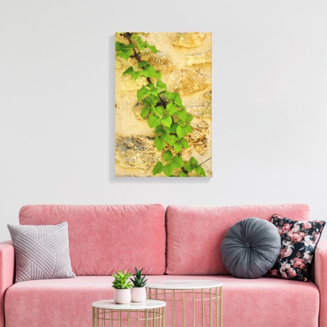 Hydrangea petiolaris leinwanddruck (Insitu (Wohnzimmer))