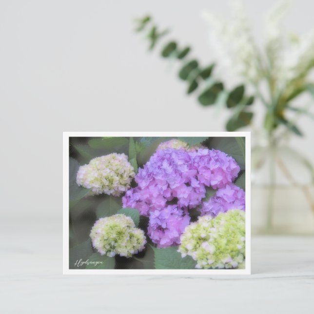 Hydrangea Postkarte (Stehend Vorderseite)