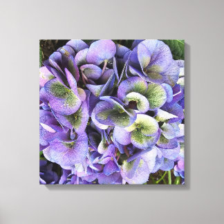 Hydrangea Print, Value Poster Paper (Semi-Gloss) Leinwanddruck