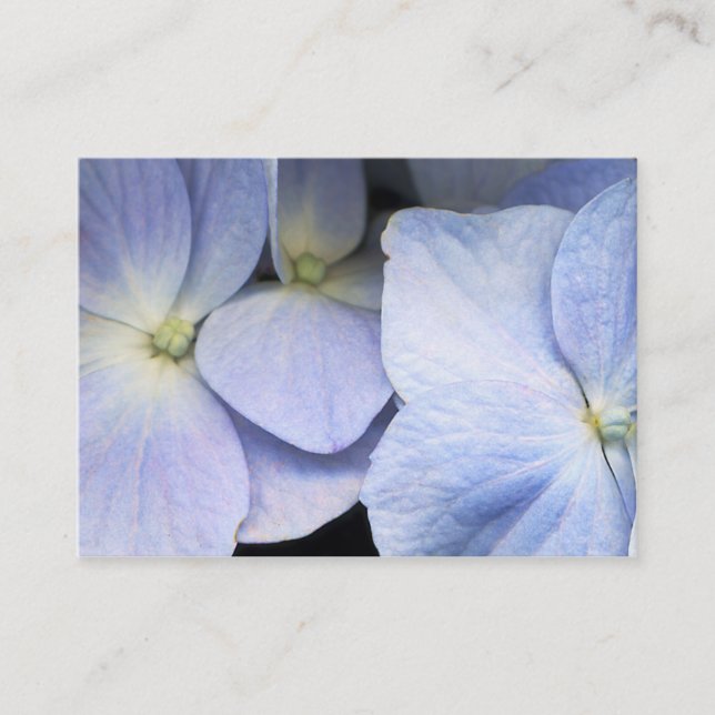 Hydrangea-Reflexions-Geschäft Card2 - besonders Visitenkarte (Vorderseite)
