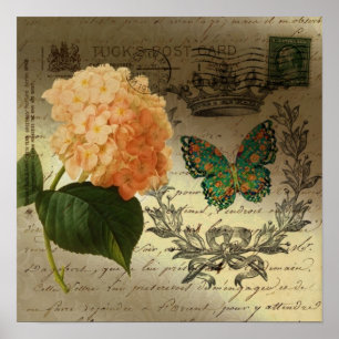Hydrangea-Schmetterlingskrone französisches Land Poster
