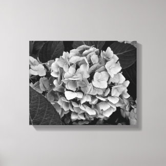 Hydrangea, Schwarz-Weiß-Wandkunst Leinwanddruck