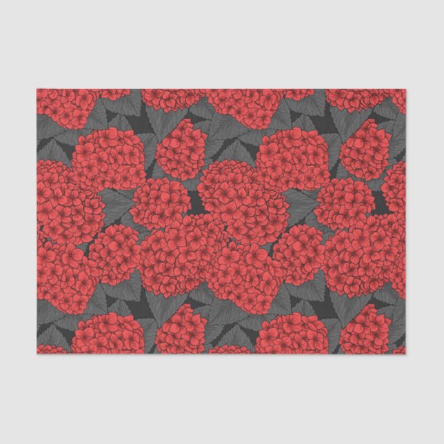 Hydrangea Seidenpapier (Vorderseite)