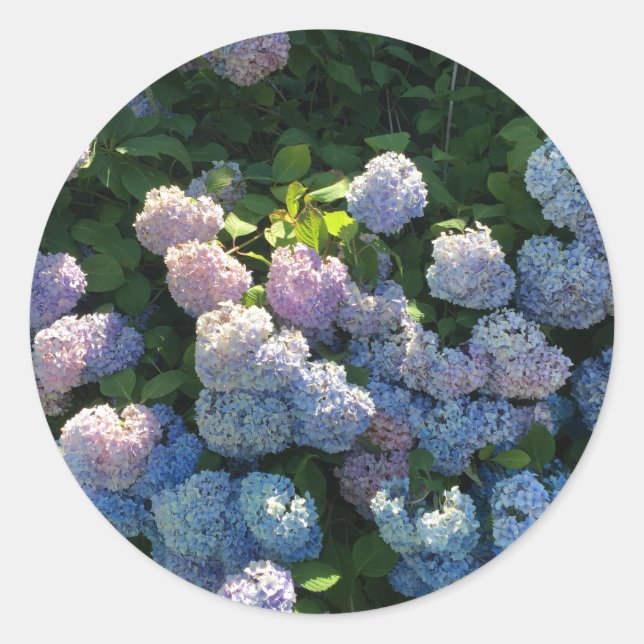 Hydrangea Stickers Umschlag Aufkleber mit Blume (Vorderseite)