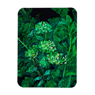 Hydrangea und Horseradish Floral Art Black & Green Magnet