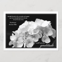 Hydrangea und Schwarzweiss-Beileid danken Ihnen
